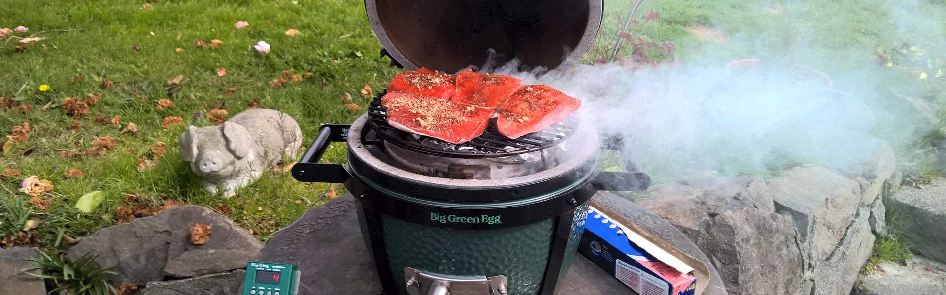 Camping with the Big Green Egg
